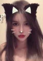 可愛い猫 ユリ