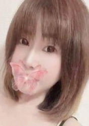 紫の蝶（むらさきのちょう） ユリ