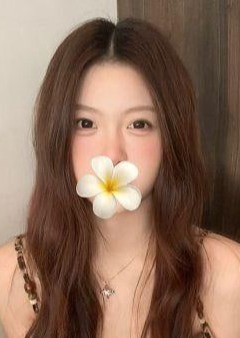 桜の恋 はな