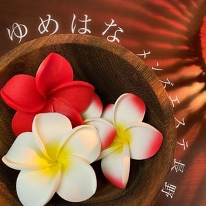 ゆめはな 長野店