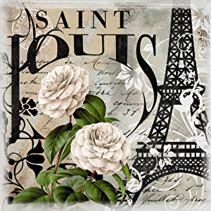Saint-Louis（サンルイ）新横浜ルーム