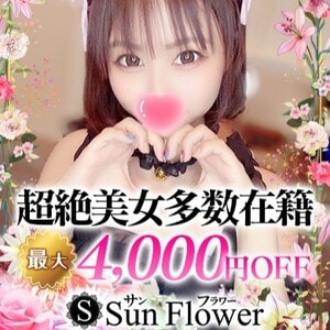 Sun Flower（サンフラワー）