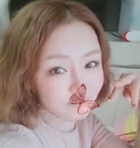 ディア・シスター