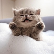 emoSPA（エモスパ）