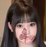 蝶々