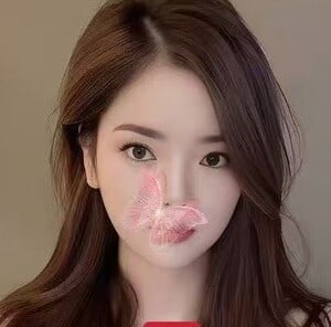 蝶々
