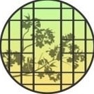 MITSUBACHI～京美魔女～