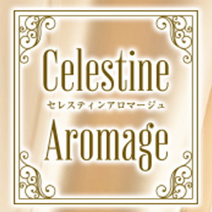 LUXEセレスティンアロマージュ 町田