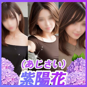 紫陽花（あじさい）