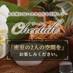 cheetah（チーター）金山