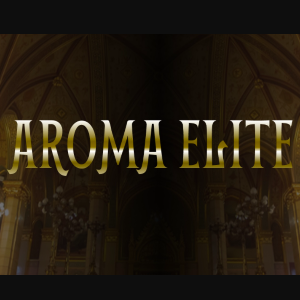 練馬メンズエステ AROMA ELITE