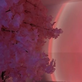 セカンド・ラブ