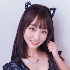 Stella（ステラ）