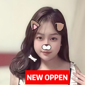 彩り（いろどり）