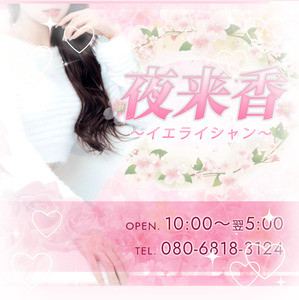 夜来香〜イエライシャン〜