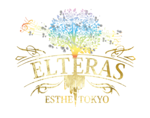 ELTERAS（エルテラス）新宿