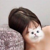 LAVENDER（ラベンダー）