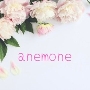 anemone（アネモネ）