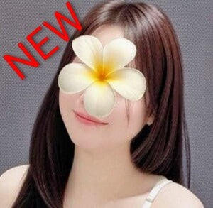 Sun Flower