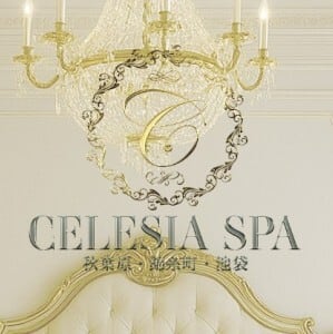CELESIA SPA（セレシアスパ） 上野ルーム