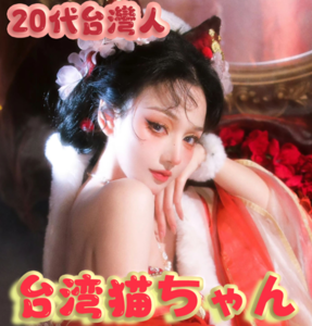 台湾 猫ちゃん