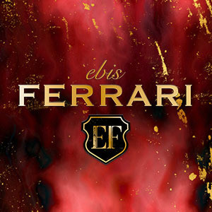 恵比寿フェラーリ 鶯谷・日暮里・西日暮里・町屋・入谷・三ノ輪ルーム