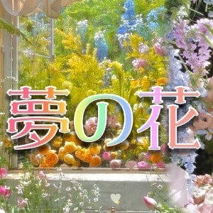 夢の花