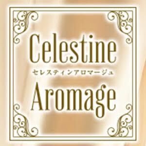 LUXEセレスティンアロマージュ 大久保・新大久保・高田馬場