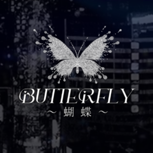 Butterfly 蝴蝶