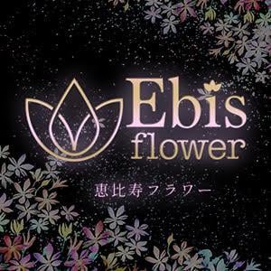 恵比寿フラワー 大和・中央林間・鶴間・相模大塚・希望ヶ丘・二俣川ルーム