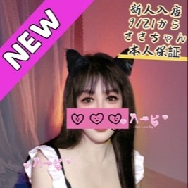 ハーピー
