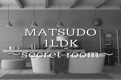 松戸1LDKsecret room求人画像