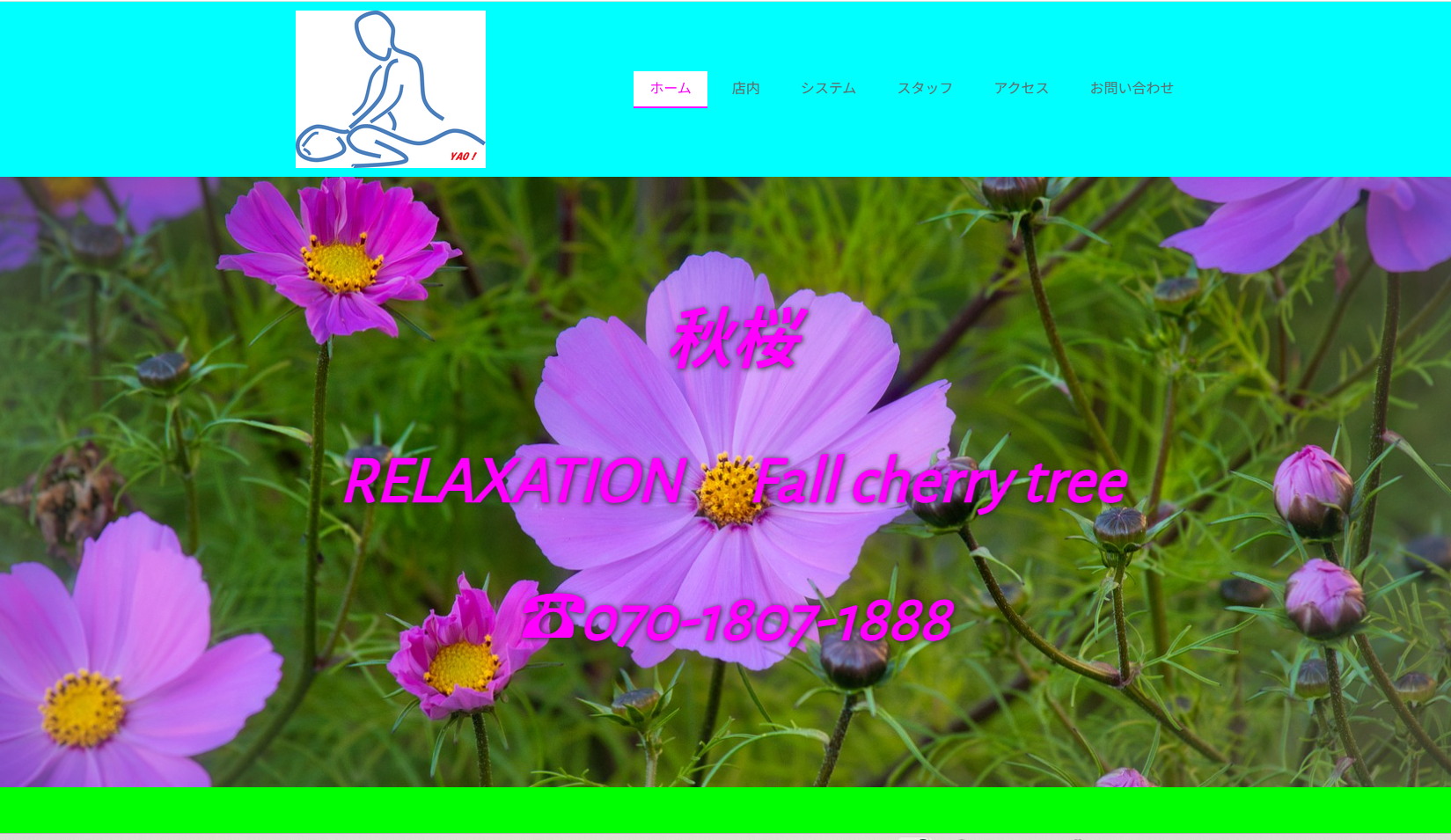 秋桜（Fall cherry tree） オフィシャルサイト