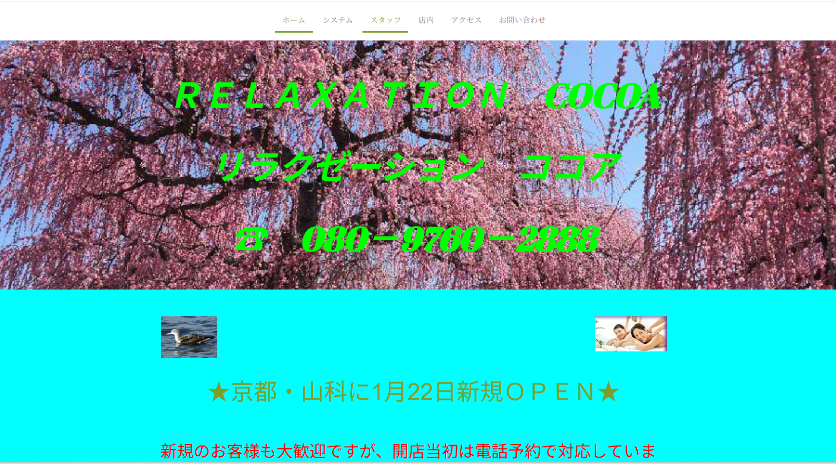 ココア オフィシャルサイト