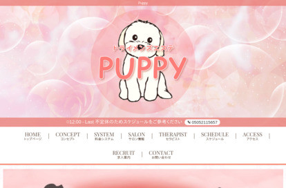 ドライメンズエステ PUPPY オフィシャルサイト