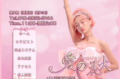 愛の花火 オフィシャルサイト
