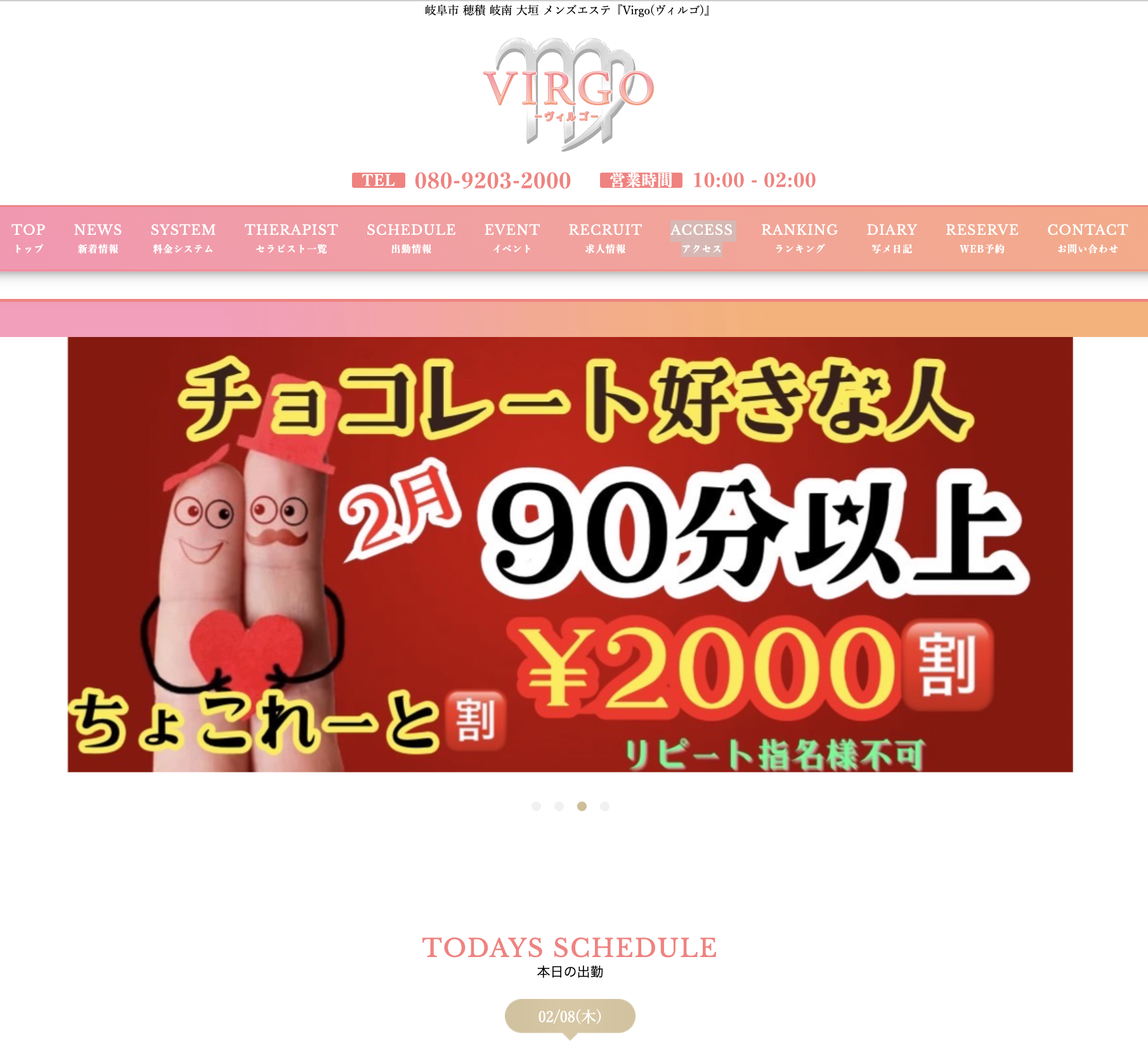 Virgo（ヴィルゴ） 穂積・大垣ルーム オフィシャルサイト