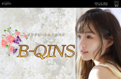 B-QINS オフィシャルサイト