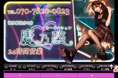 康乃馨（カーネーション） オフィシャルサイト