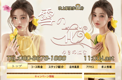雪の花（ゆきのはな） オフィシャルサイト