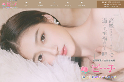 ピーチ オフィシャルサイト