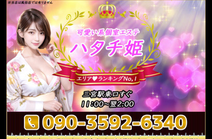 ハタチ姫 オフィシャルサイト