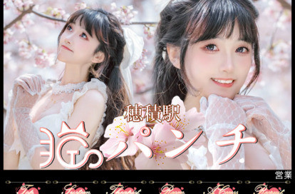 猫パンチ オフィシャルサイト