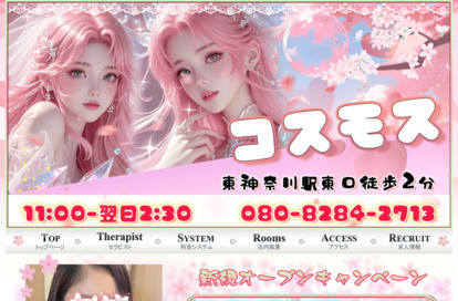 コスモス オフィシャルサイト