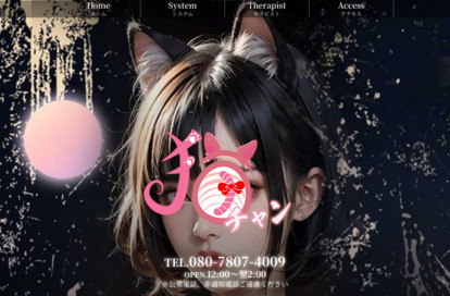 猫ちゃん オフィシャルサイト