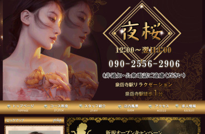 夜桜 オフィシャルサイト