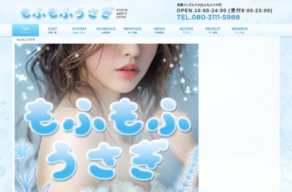 もふもふうさぎ オフィシャルサイト