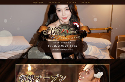 台湾ハニー オフィシャルサイト