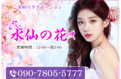 水仙の花 オフィシャルサイト