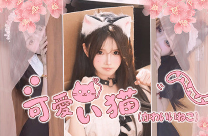 可愛い猫（かわいいねこ） オフィシャルサイト